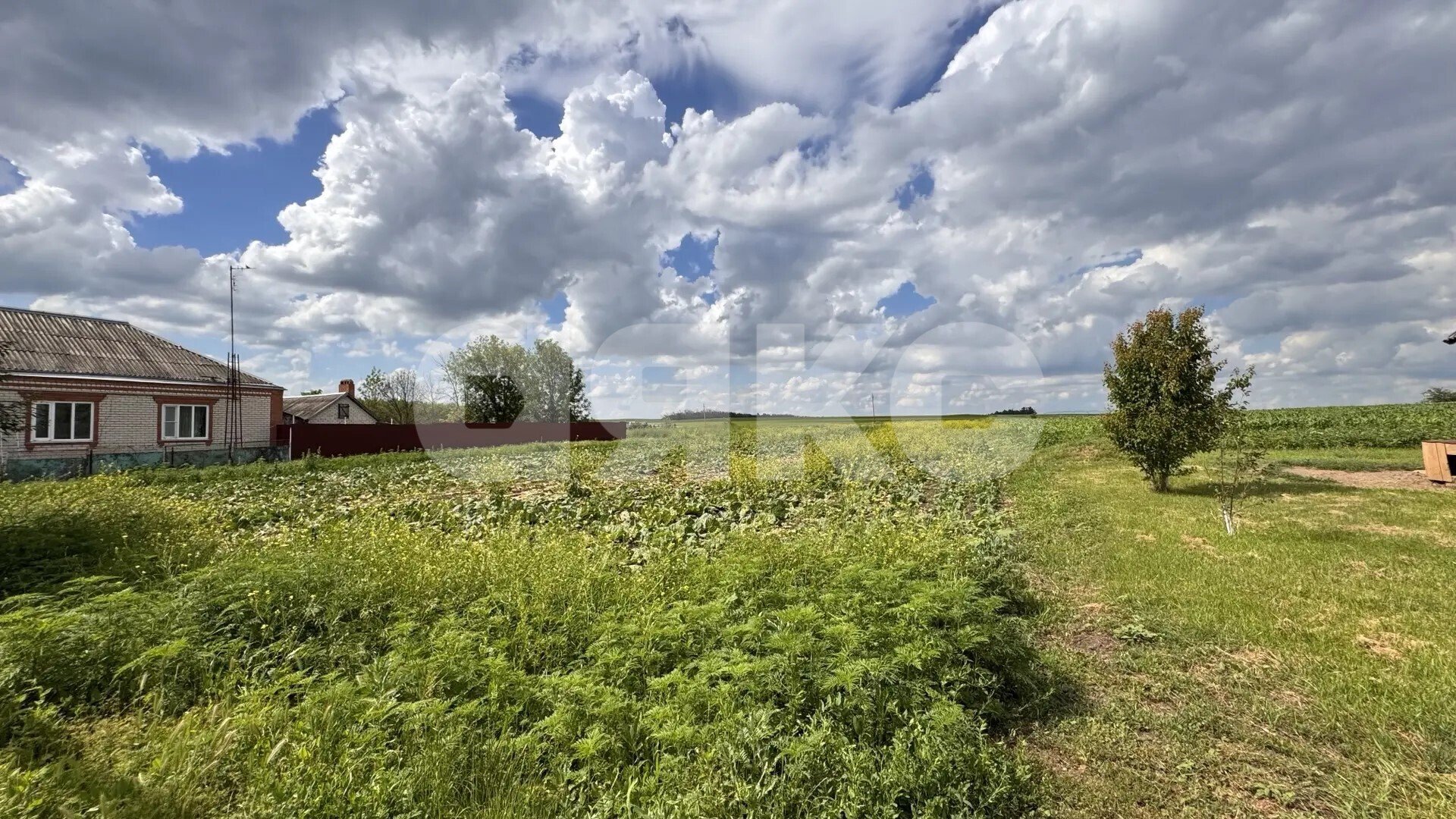 Фото №5: Личное подсобное хозяйство <span class="whitespace-nowrap">25 сот.</span> - Бураковский, ул. Пролетарская