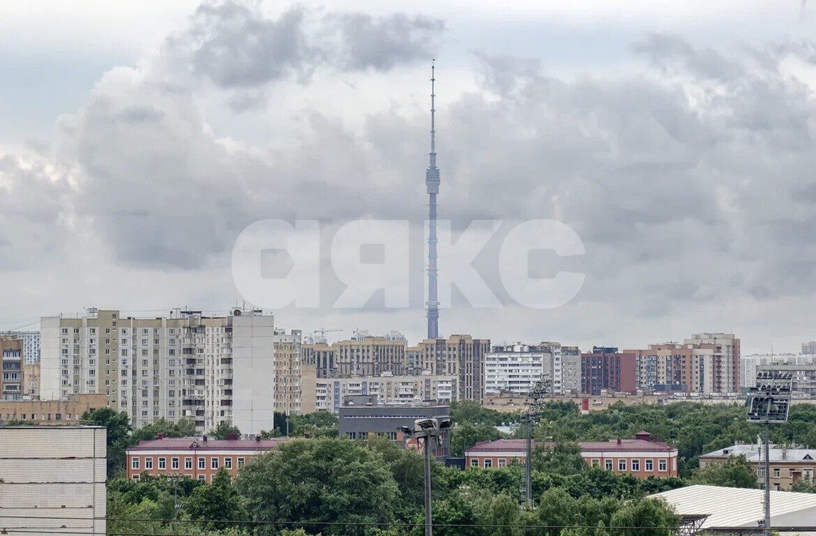 Фото №35: 2-комнатная квартира <span class="whitespace-nowrap">46 м²</span>, <span class="whitespace-nowrap">9/33 эт.</span> - Москва, ул. Амурская, 2к1