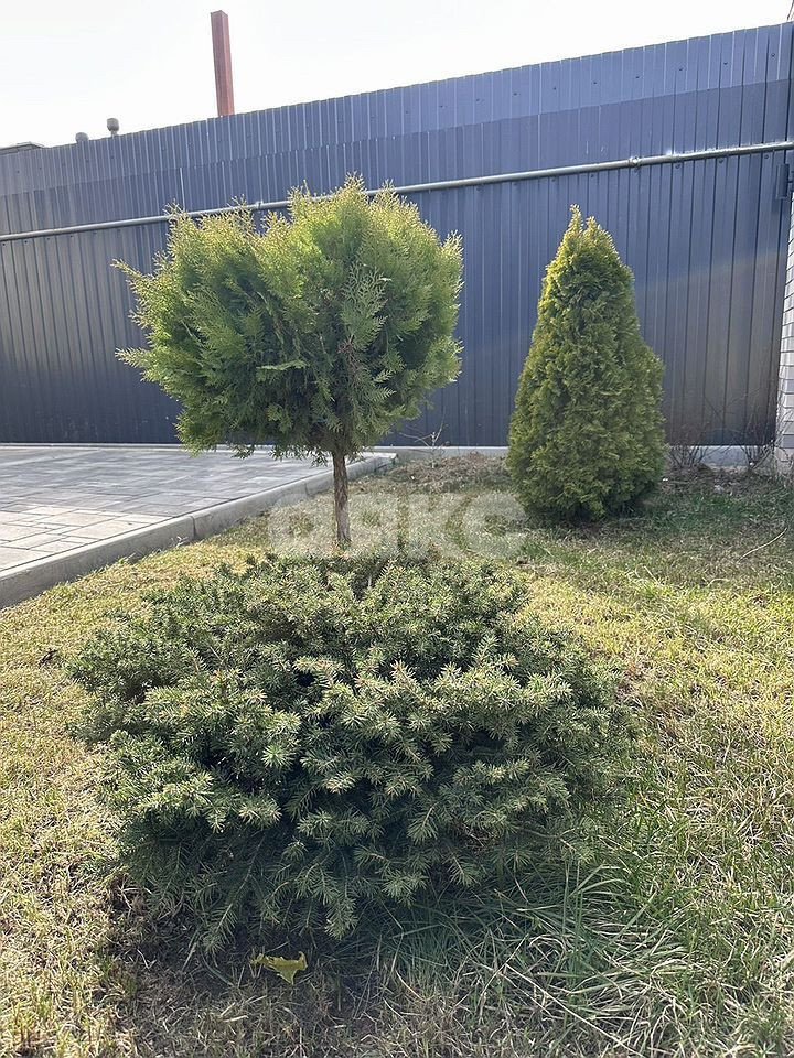 Фото №6: Дом <span class="whitespace-nowrap">200 м²</span> <span class="whitespace-nowrap">+ 6 сот.</span>, <span class="whitespace-nowrap">1 эт.</span> - Камышеваха, п. коттеджный  Изумрудный-2, ул. Геацинтовая, 26