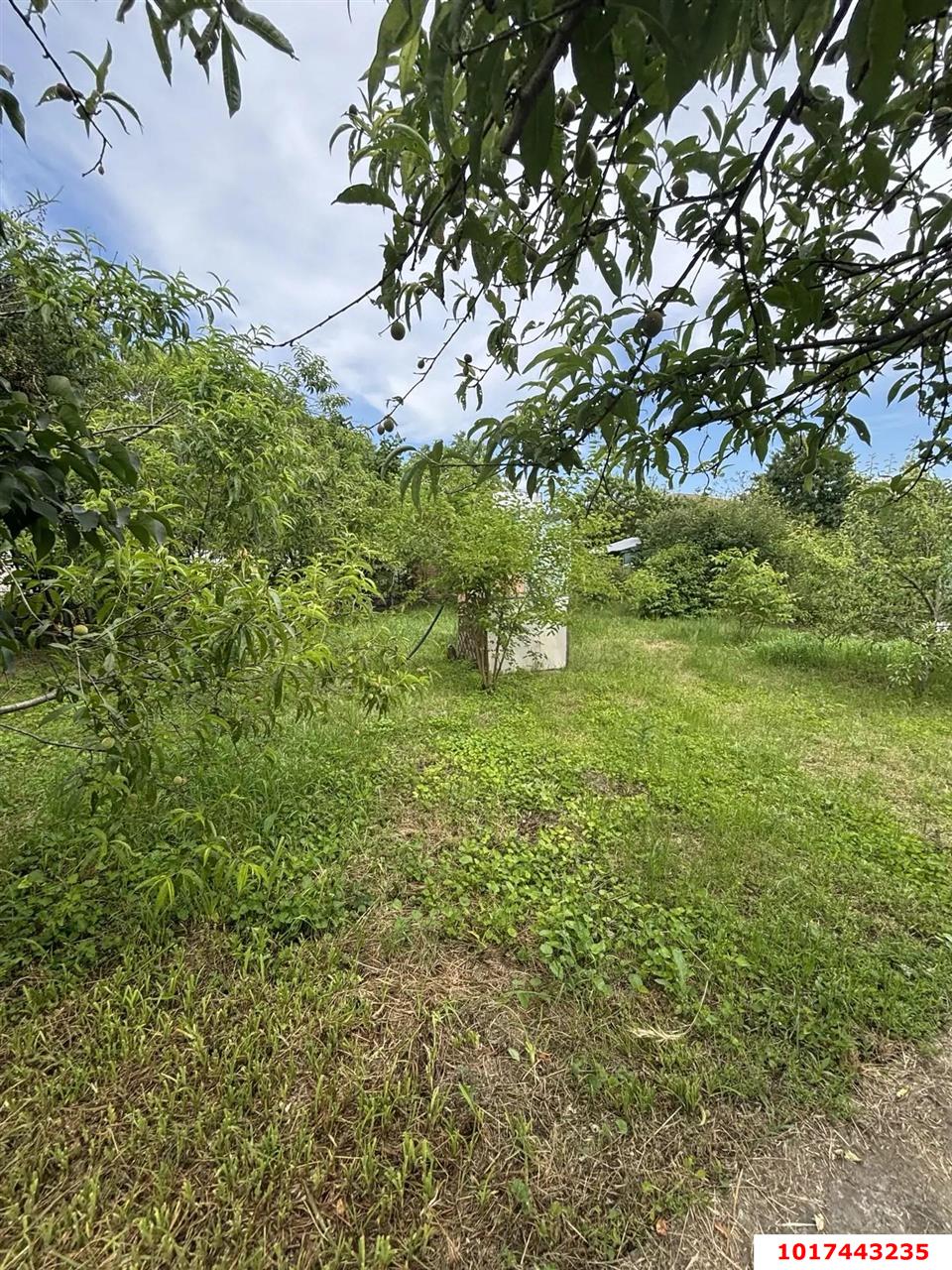 Фото №3: Личное подсобное хозяйство <span class="whitespace-nowrap">4.21 сот.</span> - Железнодорожник-3, мкр. Карасунский внутригородской округ, ул. Лесная, 776