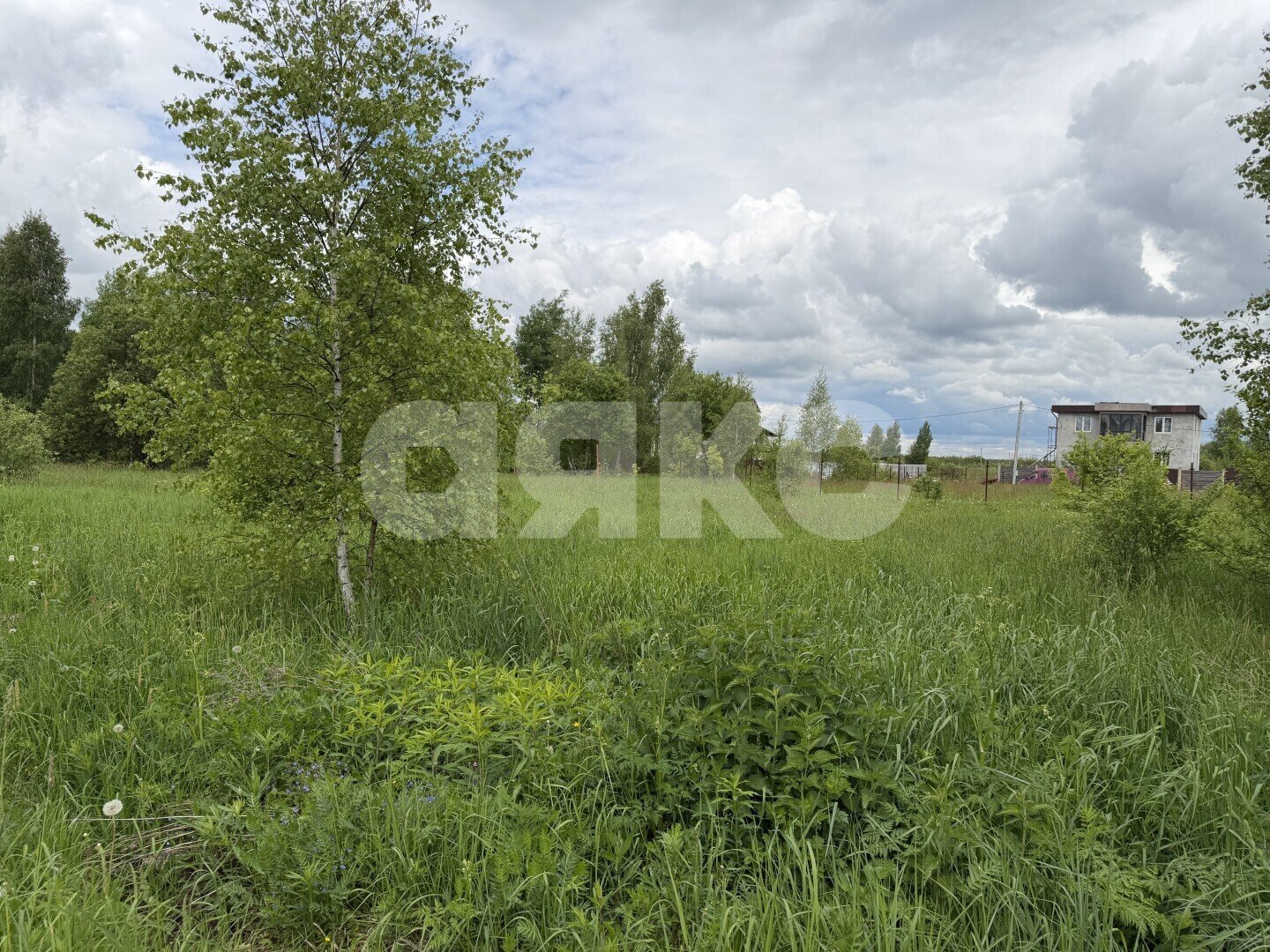Фото №5: Участок садоводство <span class="whitespace-nowrap">15 сот.</span> - ДНП Дубрава