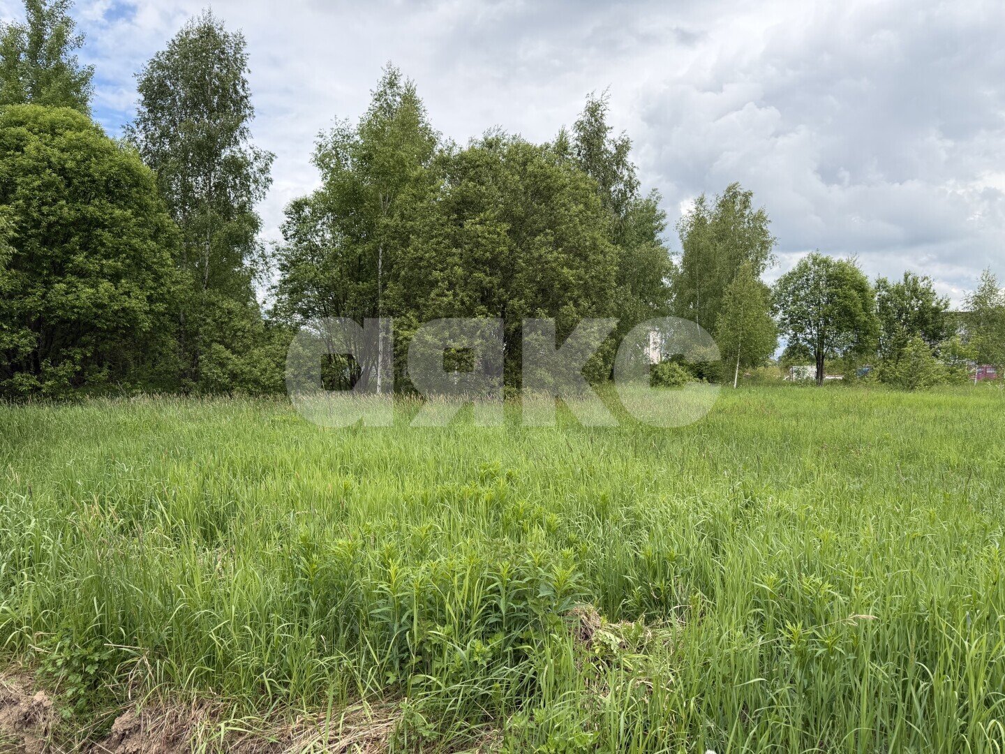 Фото №3: Участок садоводство <span class="whitespace-nowrap">15 сот.</span> - ДНП Дубрава