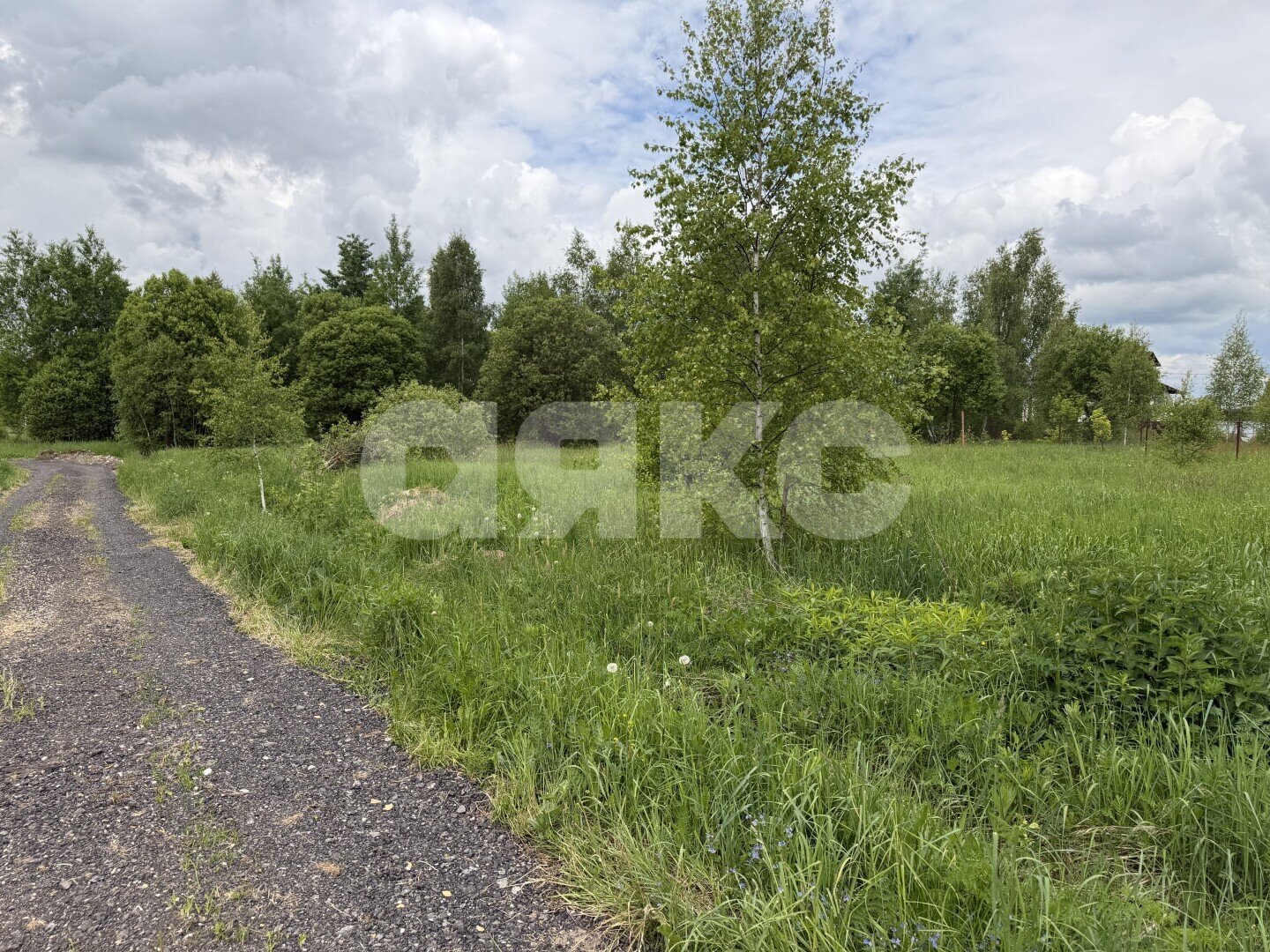 Фото №6: Участок садоводство <span class="whitespace-nowrap">15 сот.</span> - ДНП Дубрава