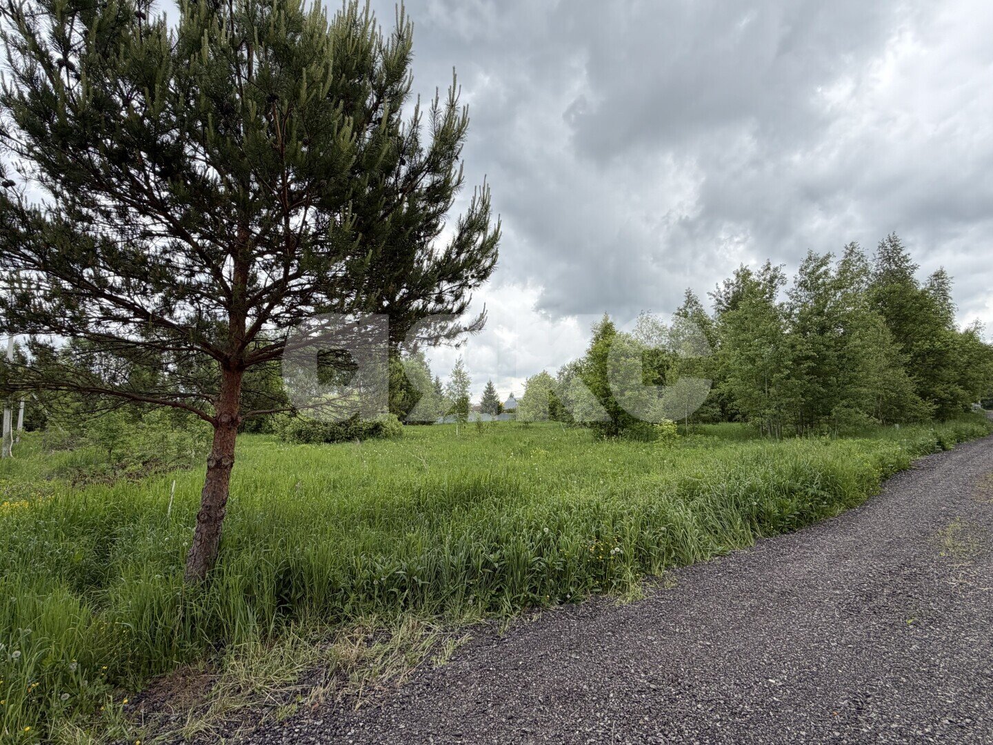 Фото №10: Участок садоводство <span class="whitespace-nowrap">15 сот.</span> - ДНП Дубрава