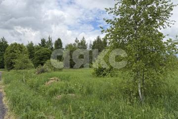 Фото №1: Участок садоводство <span class="whitespace-nowrap">15 сот.</span> - ДНП Дубрава,