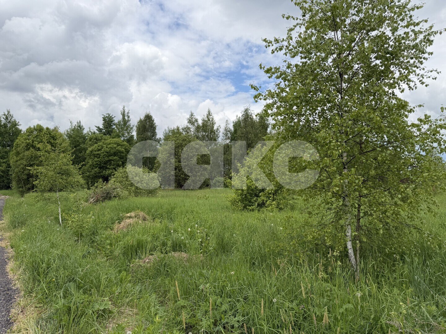Фото №2: Участок садоводство <span class="whitespace-nowrap">15 сот.</span> - ДНП Дубрава