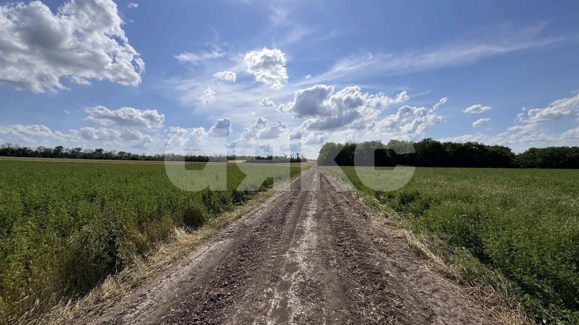 Фото №6: Земельный участок под ИЖС <span class="whitespace-nowrap">69 сот.</span> - Казаче-Малёваный, ул. Южная