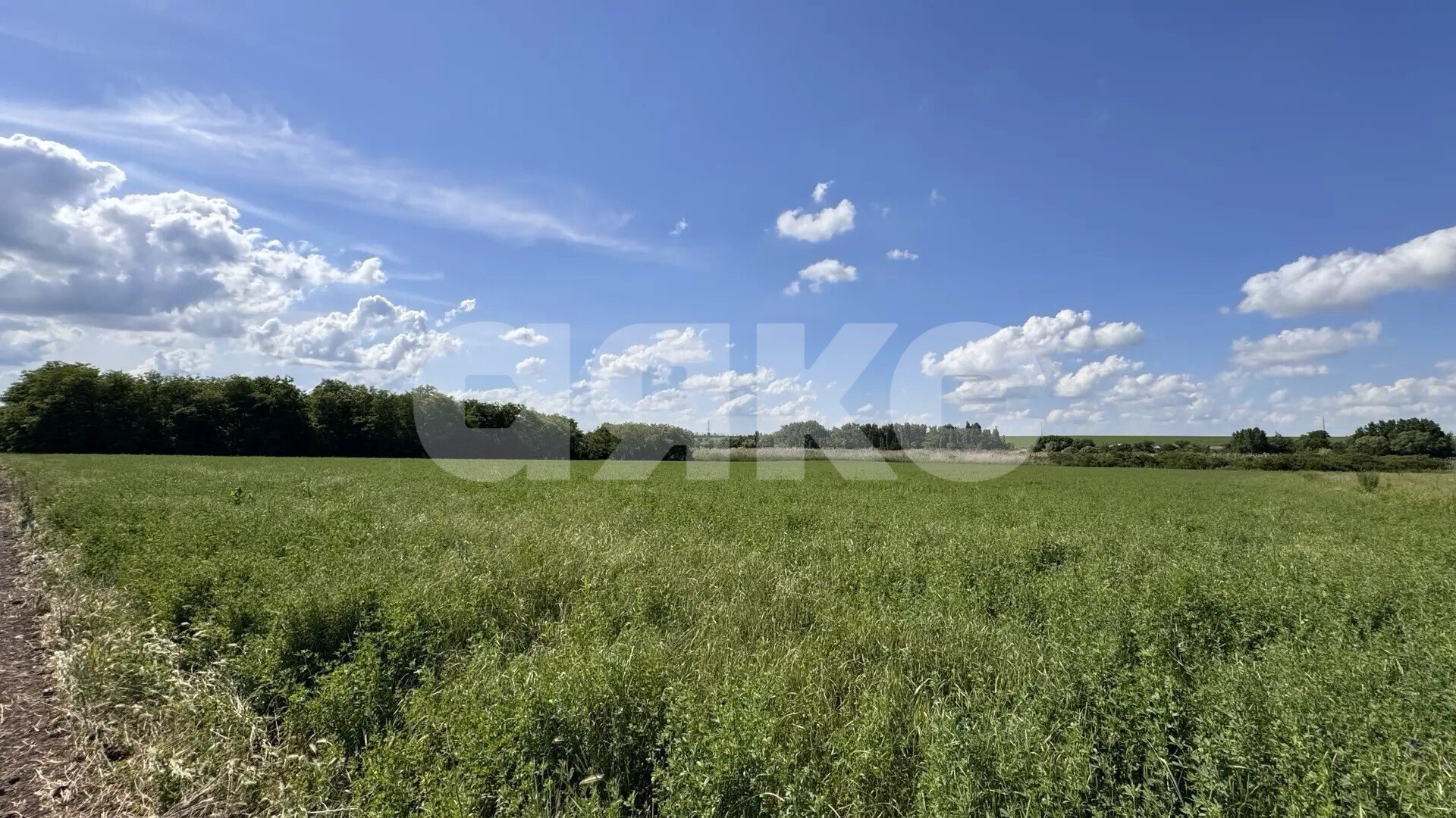 Фото №4: Земельный участок под ИЖС <span class="whitespace-nowrap">69 сот.</span> - Казаче-Малёваный, ул. Южная