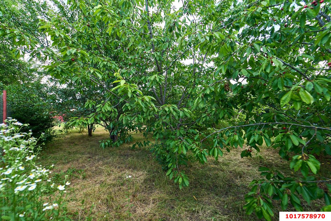 Фото №5: Личное подсобное хозяйство <span class="whitespace-nowrap">4.06 сот.</span> - № 2 АО ЮГТЕКС, мкр. Прикубанский внутригородской округ, ул. Садовая, 538