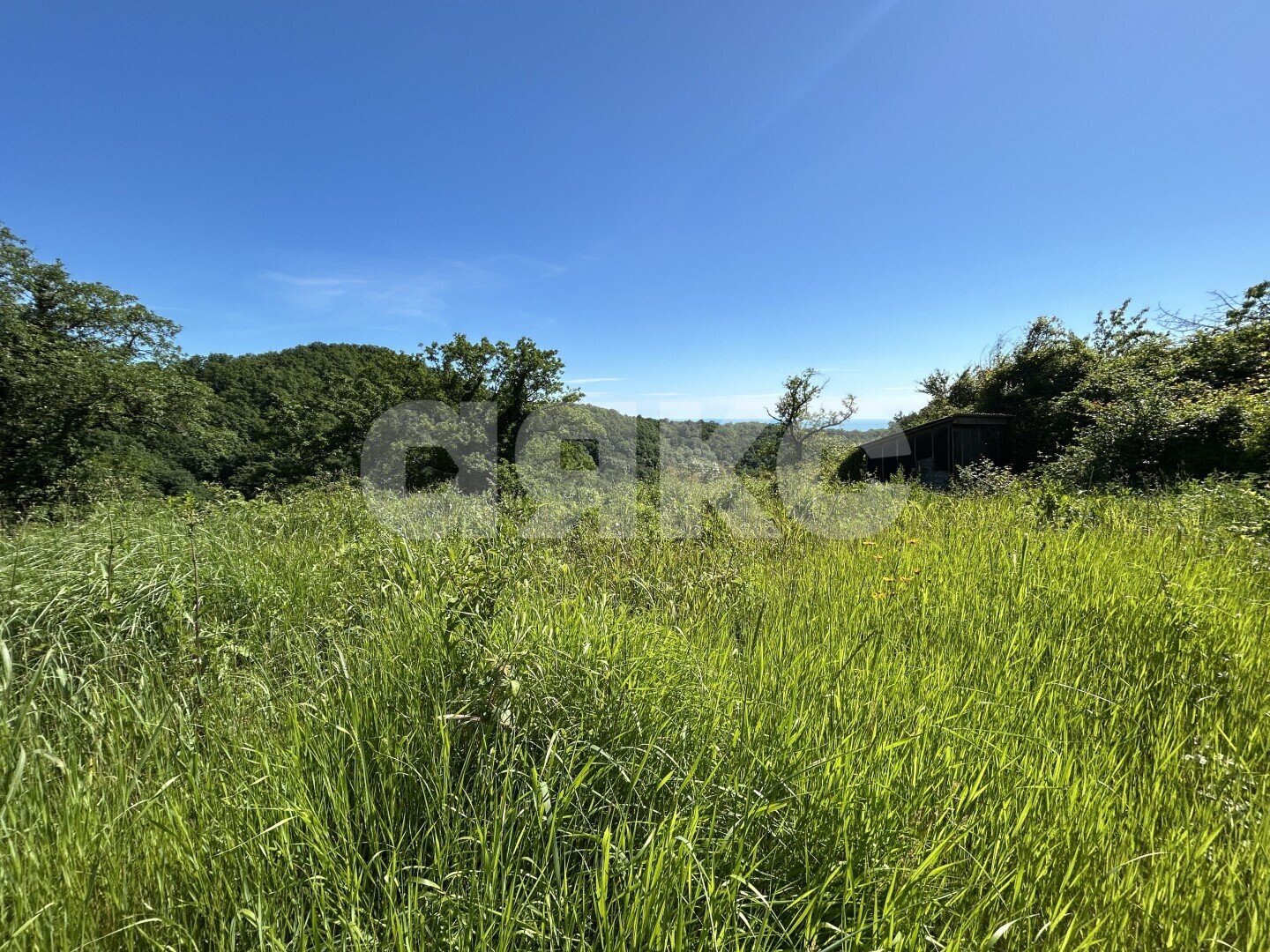 Фото №6: Личное подсобное хозяйство <span class="whitespace-nowrap">12.5 сот.</span> - пансионата Южный