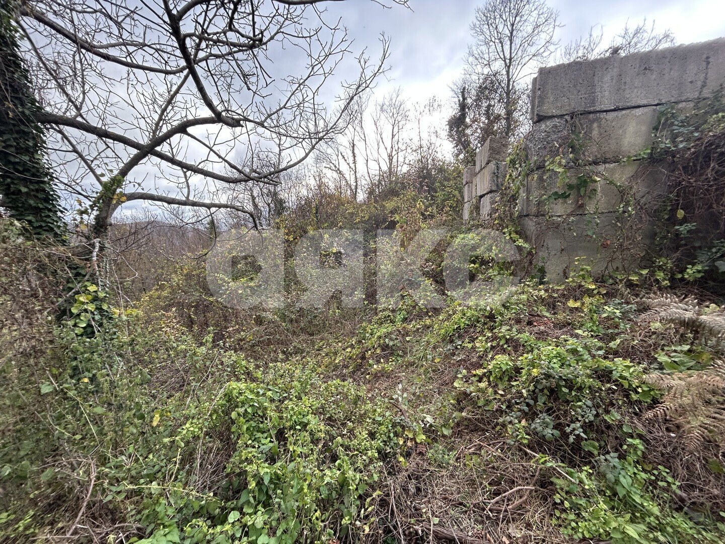 Фото №1: Личное подсобное хозяйство <span class="whitespace-nowrap">4 сот.</span> - СТ Восход