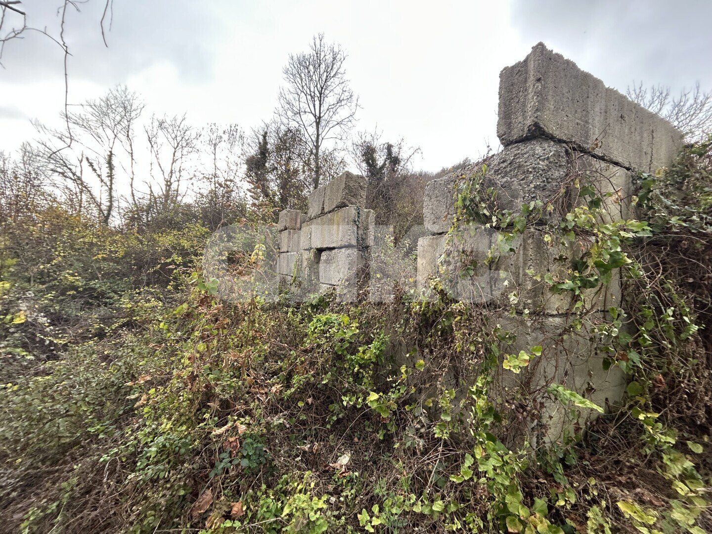 Фото №4: Личное подсобное хозяйство <span class="whitespace-nowrap">4 сот.</span> - СТ Восход