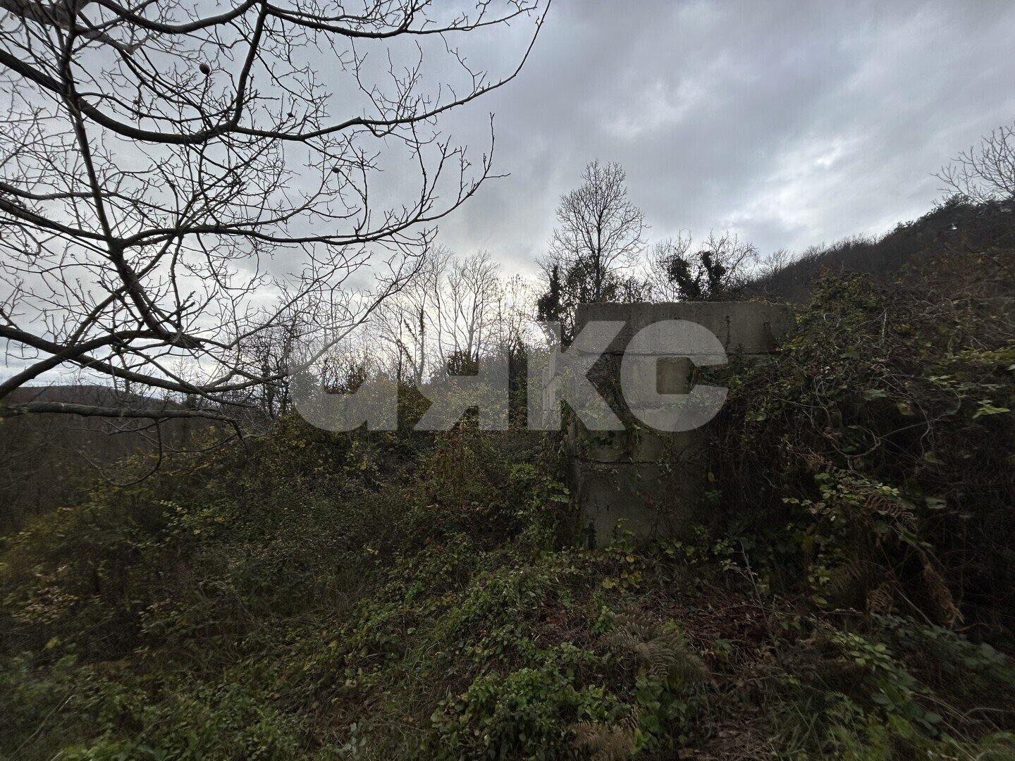 Фото №5: Личное подсобное хозяйство <span class="whitespace-nowrap">4 сот.</span> - СТ Восход