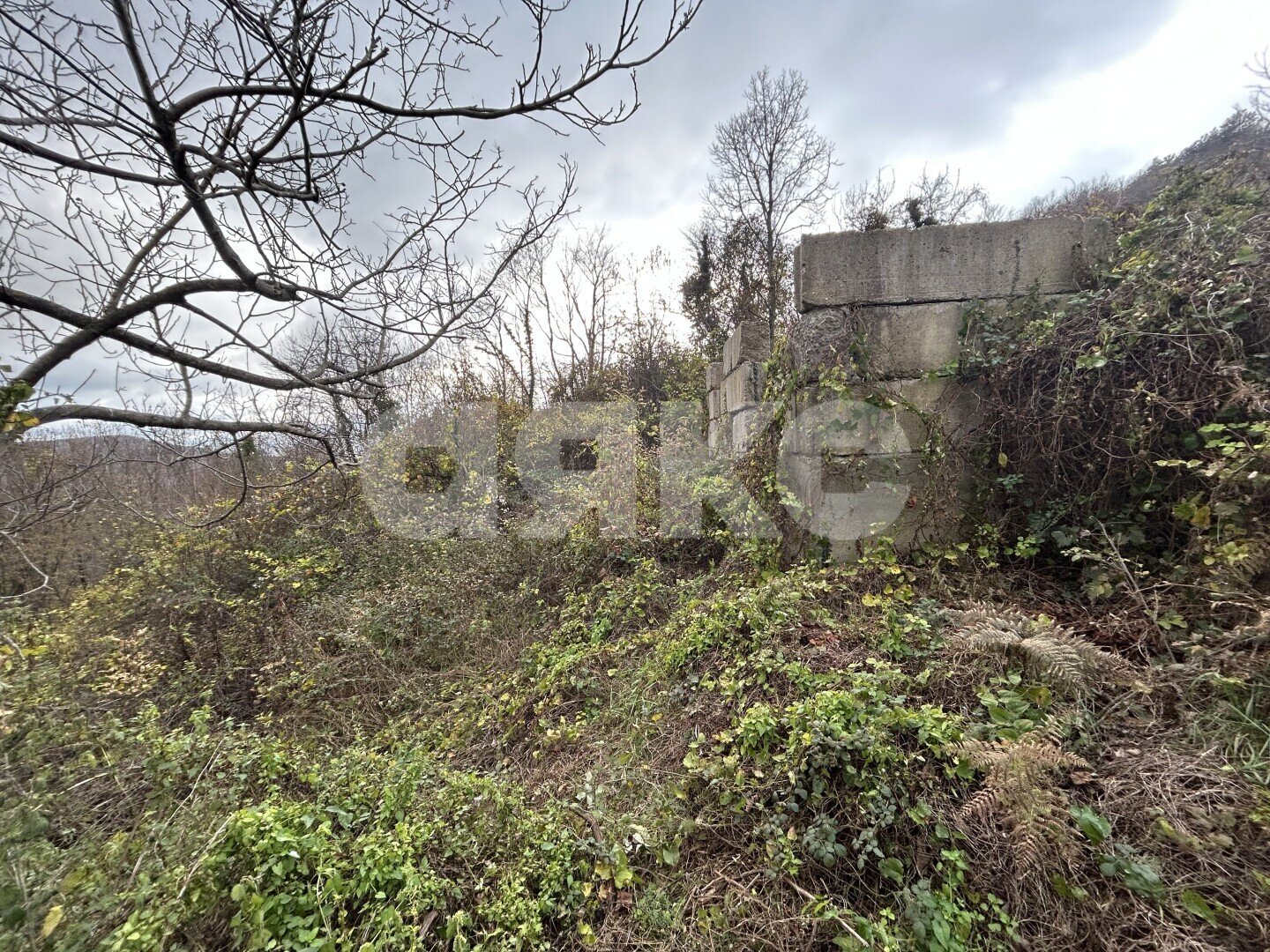 Фото №3: Личное подсобное хозяйство <span class="whitespace-nowrap">4 сот.</span> - СТ Восход