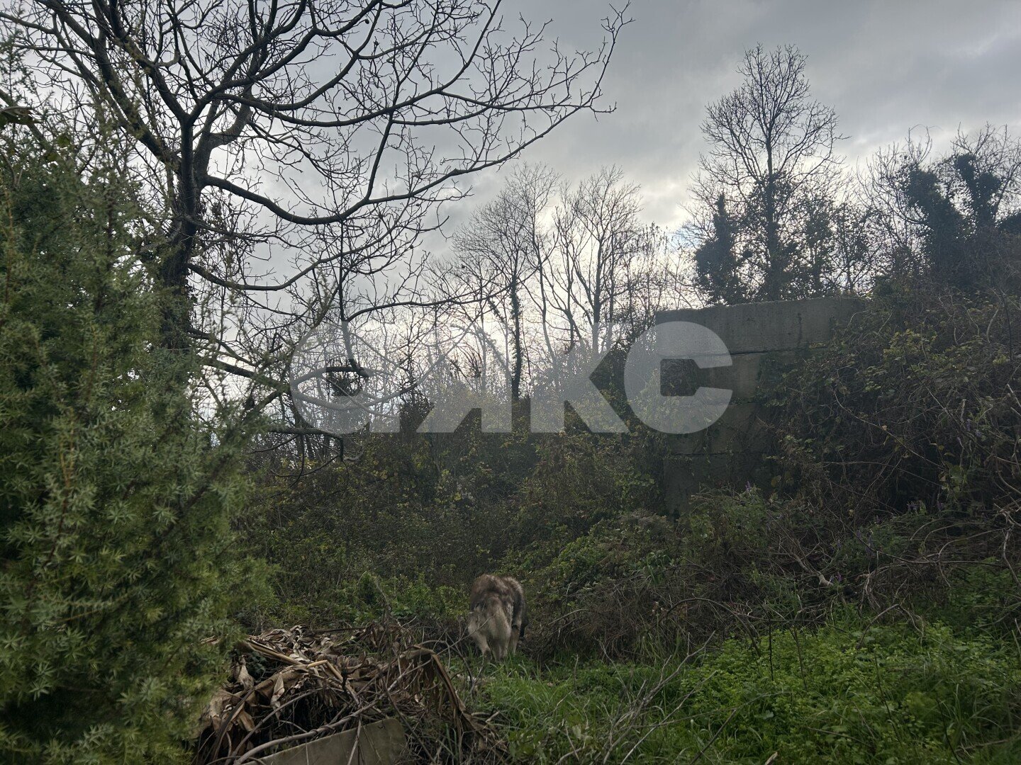 Фото №6: Личное подсобное хозяйство <span class="whitespace-nowrap">4 сот.</span> - СТ Восход