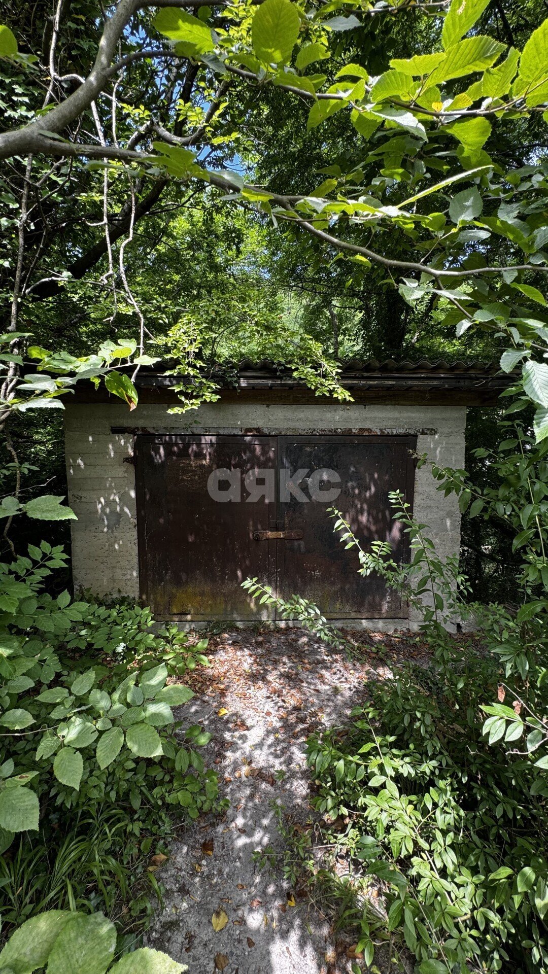 Фото №4: Земельный участок под ИЖС <span class="whitespace-nowrap">26 сот.</span> - Вольное, ул. Лесная