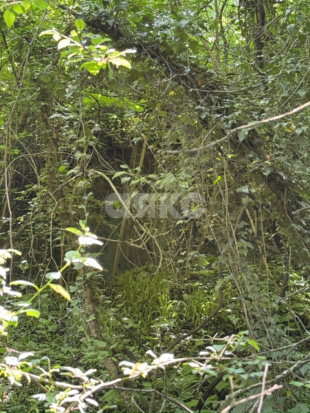 Фото №4: Земельный участок под ИЖС <span class="whitespace-nowrap">26 сот.</span> - Туапсе, ул. площадь Октябрьской Революции