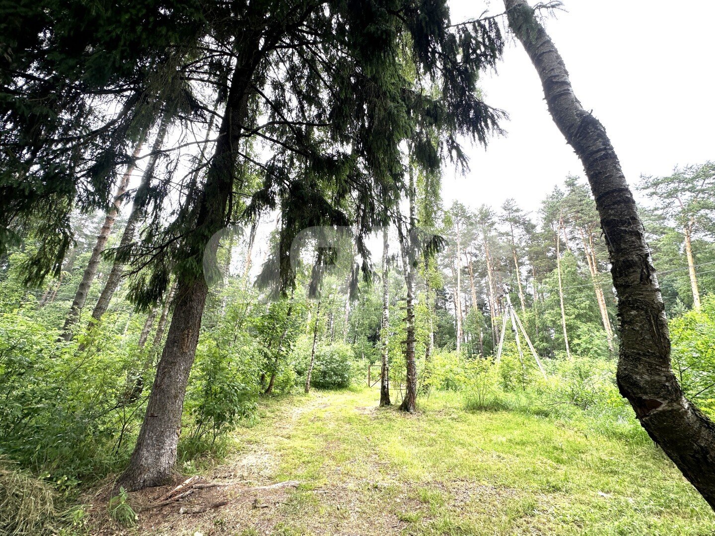 Фото №35: Дом <span class="whitespace-nowrap">180 м²</span> <span class="whitespace-nowrap">+ 6.6 сот.</span>, <span class="whitespace-nowrap">2 эт.</span> - Пласкинино, ул. Нагорная, 11