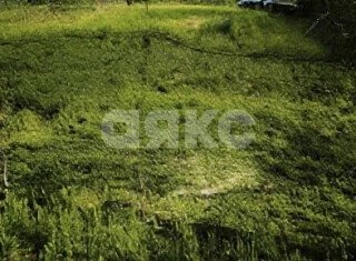 Фото №7: Земельный участок под ИЖС <span class="whitespace-nowrap">6 сот.</span> - Новокубанск, п. КНИИТИМ, ул. Добролюбова, 10