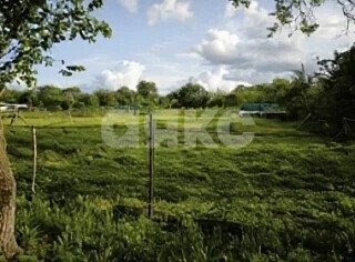 Фото №6: Земельный участок под ИЖС <span class="whitespace-nowrap">6 сот.</span> - Новокубанск, п. КНИИТИМ, ул. Добролюбова, 10