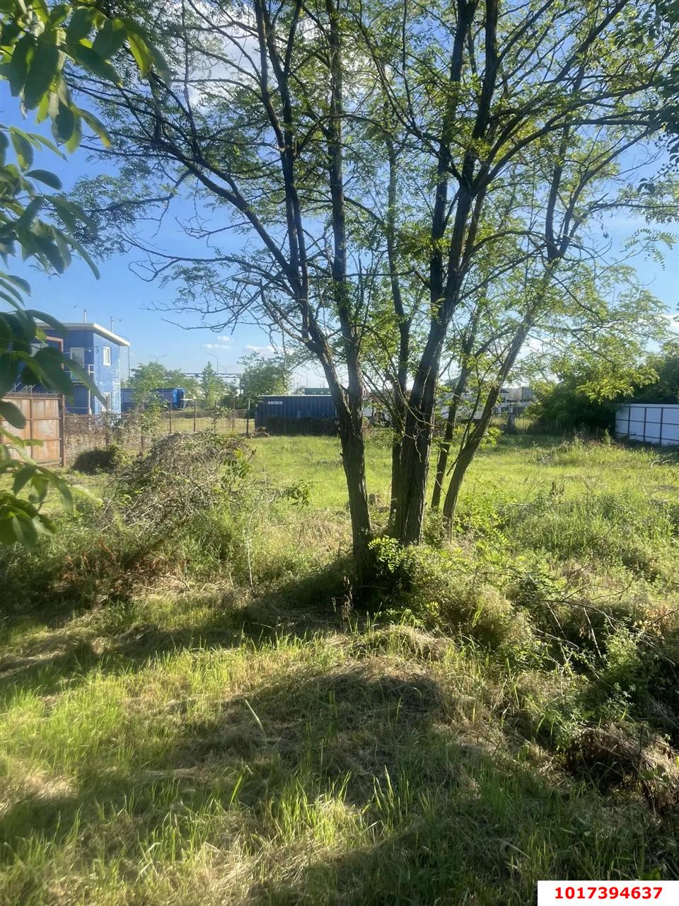 Фото №4: Личное подсобное хозяйство <span class="whitespace-nowrap">9.29 сот.</span> - Октябрьский, Прикубанский внутригородской округ, мкр. СНТ Луч, ул. Садовая, 95