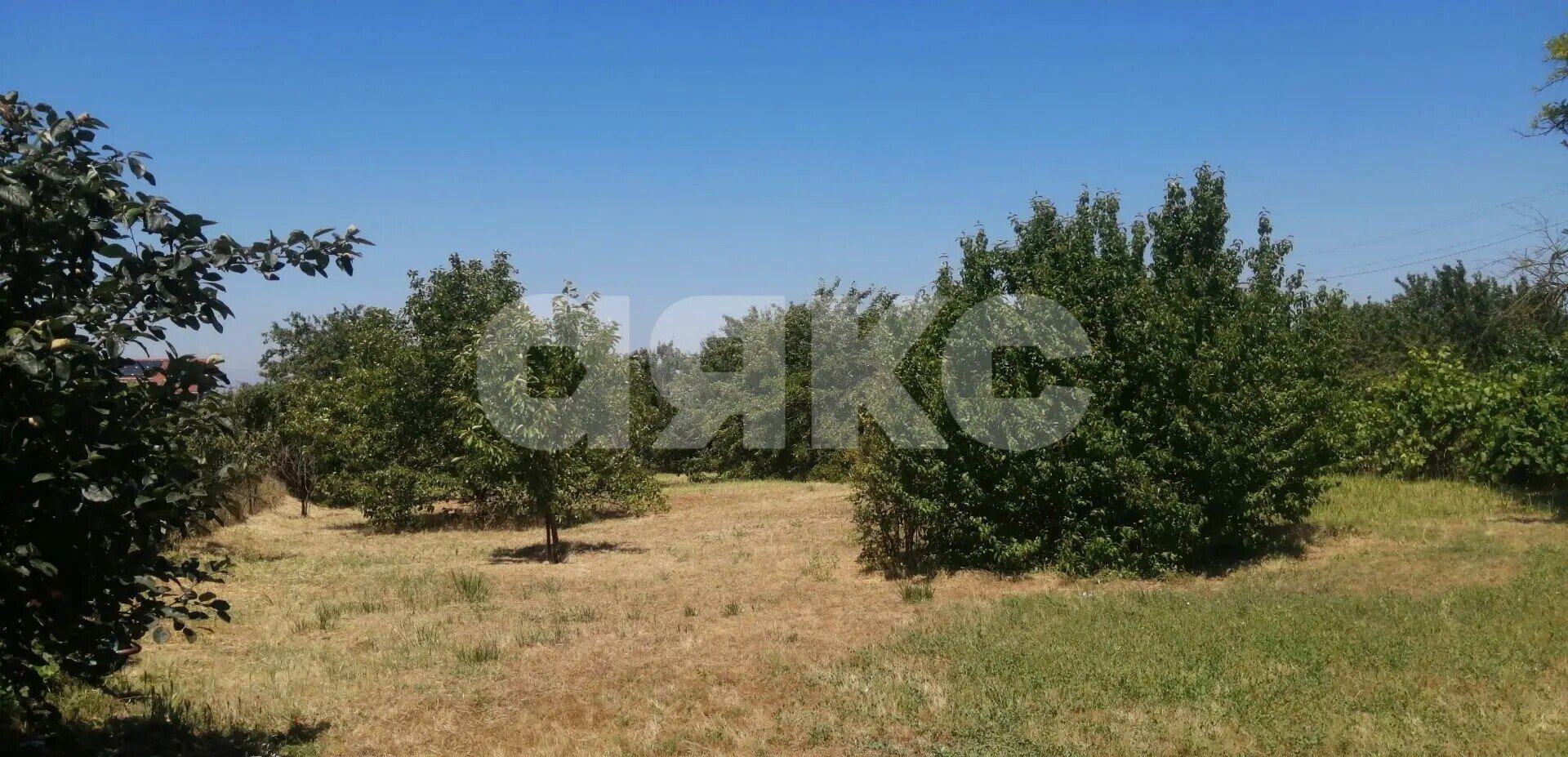Фото №10: Дом <span class="whitespace-nowrap">82 м²</span> <span class="whitespace-nowrap">+ 17 сот.</span>, <span class="whitespace-nowrap">1 эт.</span> - Благовещенская, ул. Школьная