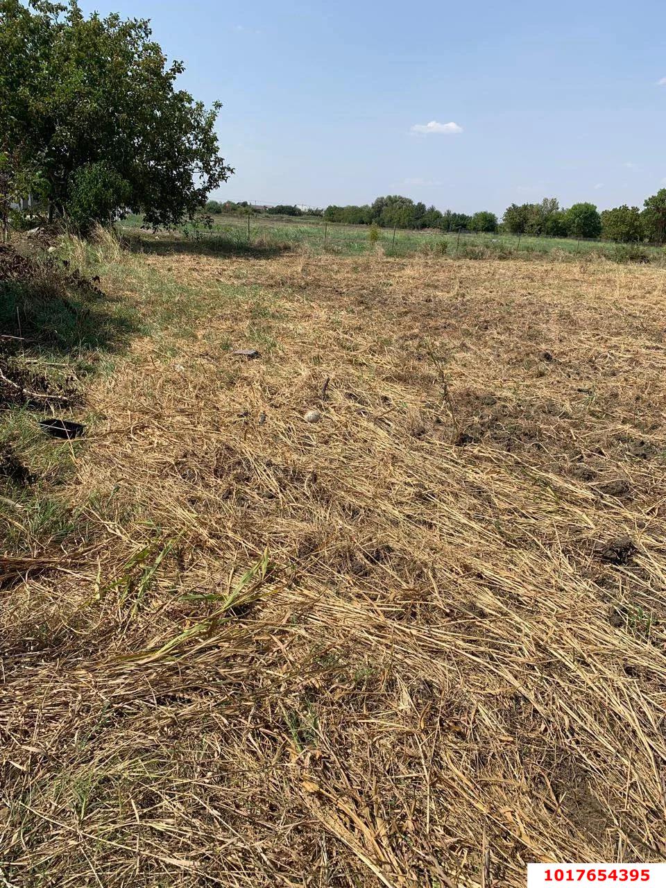 Фото №3: Коммерческая земля <span class="whitespace-nowrap">50 сот.</span> - Елизаветинская, Прикубанский внутригородской округ, мкр. СНТ Фруктовый