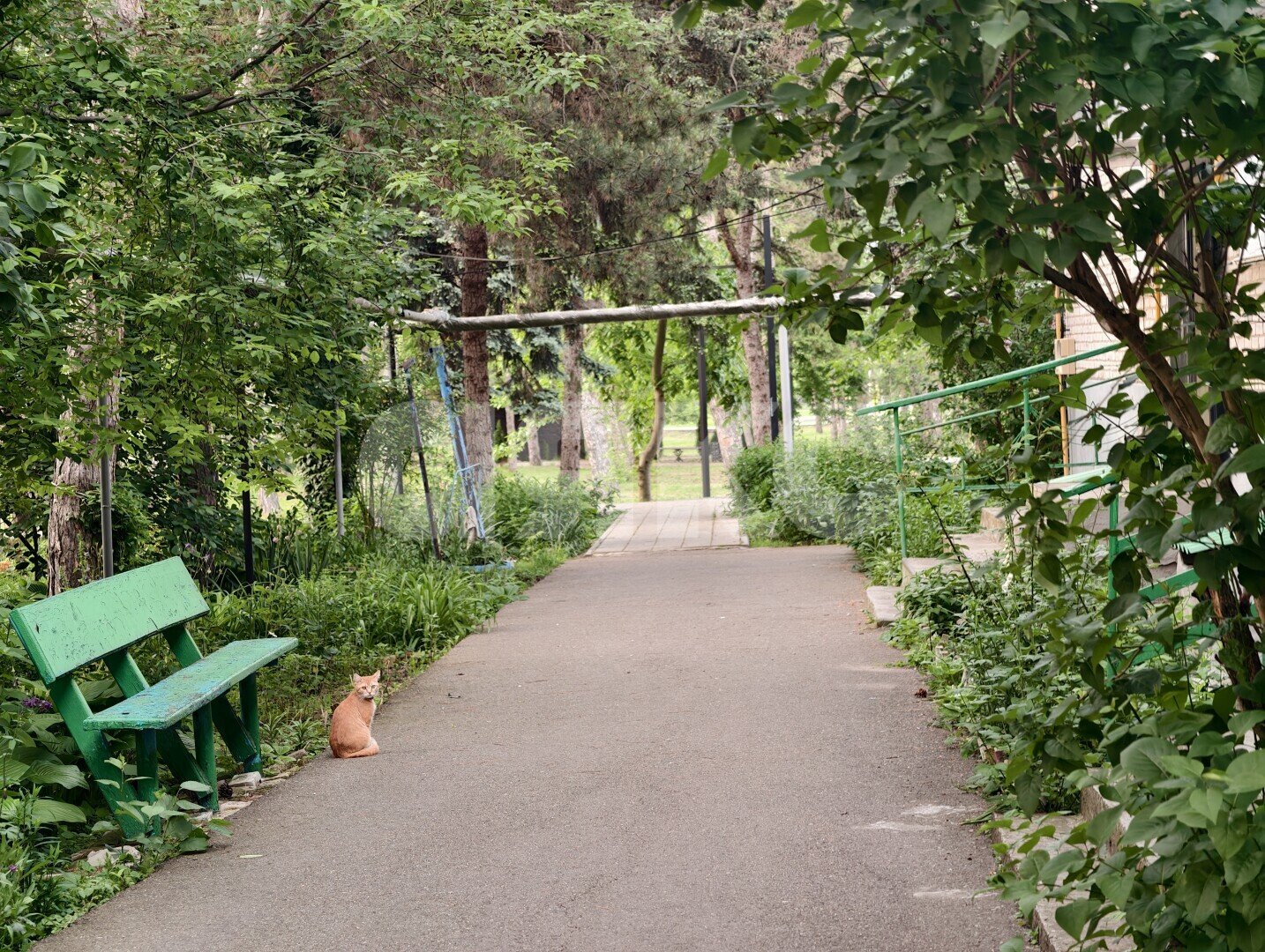 Фото №35: 2-комнатная квартира <span class="whitespace-nowrap">53 м²</span>, <span class="whitespace-nowrap">1/3 эт.</span> - Кореновск, ул. Нижняя, 4