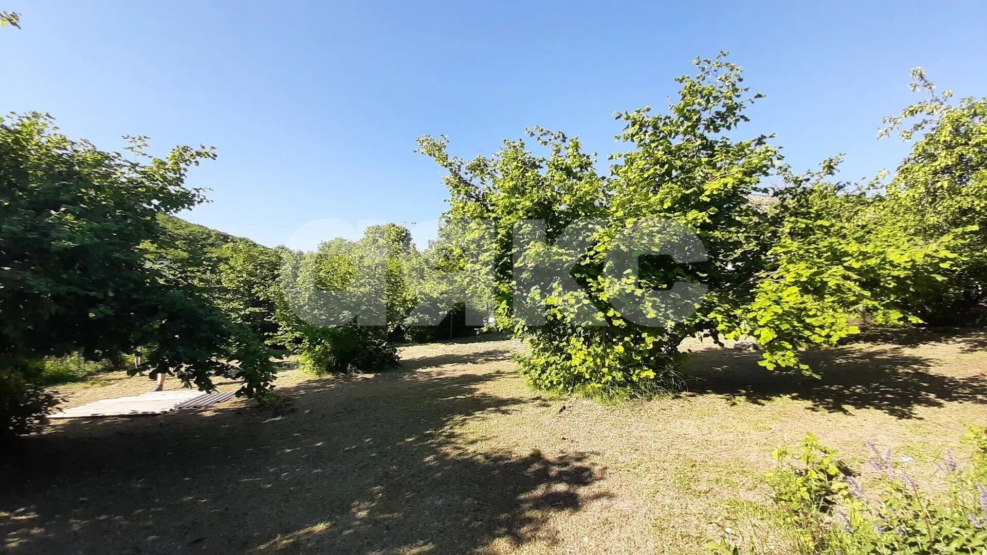 Фото №5: Земельный участок под ИЖС <span class="whitespace-nowrap">6.67 сот.</span> - Пляхо, ул. Садовая