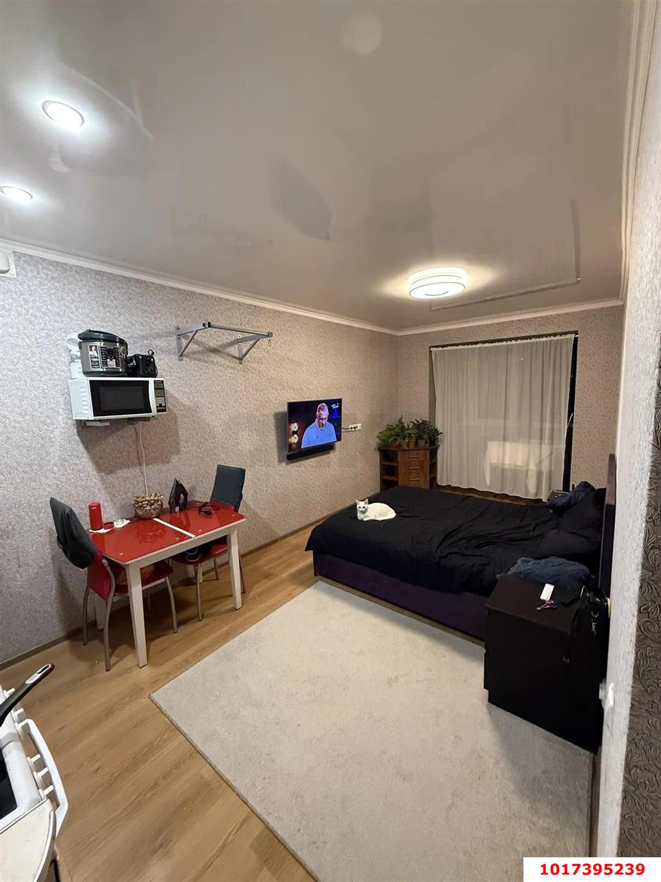 Фото №3: Студия <span class="whitespace-nowrap">28 м²</span>, <span class="whitespace-nowrap">2/6 эт.</span> - Российский, мкр. Прикубанский внутригородской округ, ул. Куликова Поля, 27