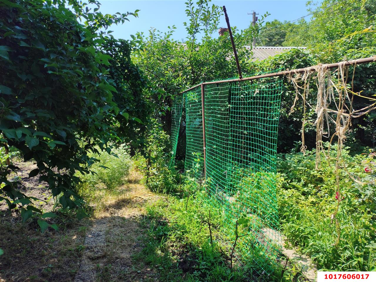 Фото №14: Дом <span class="whitespace-nowrap">20 м²</span> <span class="whitespace-nowrap">+ 6.24 сот.</span>, <span class="whitespace-nowrap">1 эт.</span> - Сад Кубани, мкр. Прикубанский внутригородской округ, ул. Западная, 40