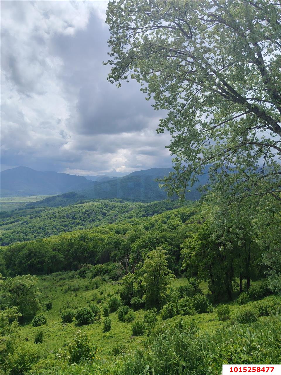 Фото №10: Дом <span class="whitespace-nowrap">99 м²</span> <span class="whitespace-nowrap">+ 4 сот.</span>, <span class="whitespace-nowrap">1 эт.</span> - Даховская, ул. Ключевая