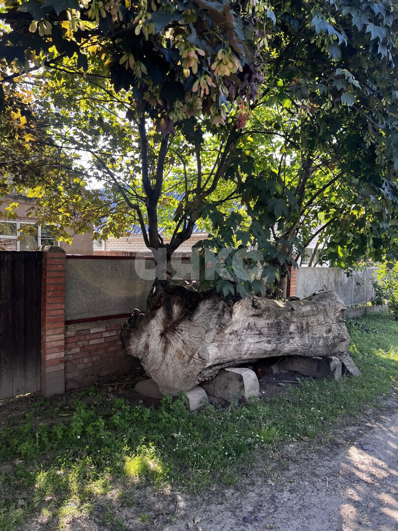 Фото №12: Земельный участок под ИЖС <span class="whitespace-nowrap">10 сот.</span> - Прикубанский, пер. Цветочный, 3