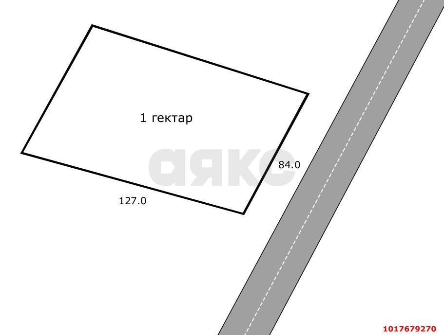 Фото №5: Коммерческая земля <span class="whitespace-nowrap">100 сот.</span> - садоводческое некоммерческое партнёрство Ведруссия
