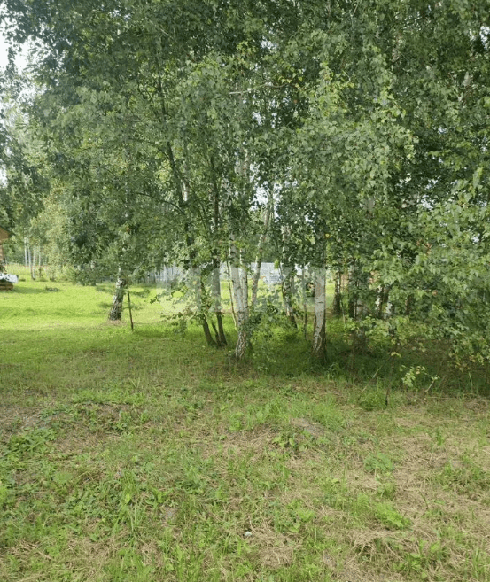 Фото №14: Дом <span class="whitespace-nowrap">88 м²</span> <span class="whitespace-nowrap">+ 15 сот.</span>, <span class="whitespace-nowrap">1 эт.</span> - имени Цюрупы, ул. Центральная