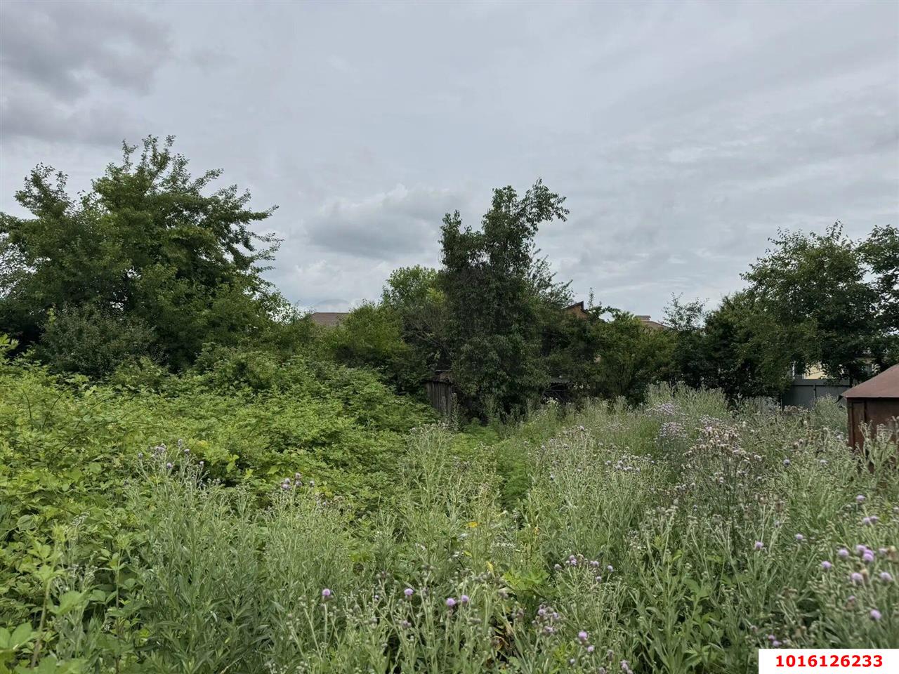 Фото №4: Земельный участок под ИЖС <span class="whitespace-nowrap">3.7 сот.</span> - Октябрьский, Прикубанский внутригородской округ, мкр. СНТ Подсолнечник, ул. Рябиновая, 134