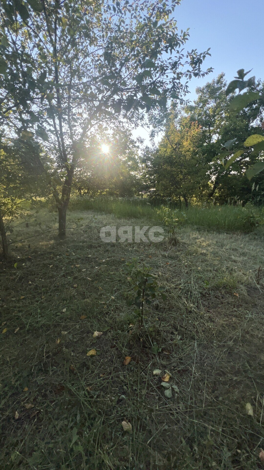 Фото №12: Дом <span class="whitespace-nowrap">92 м²</span> <span class="whitespace-nowrap">+ 10 сот.</span>, <span class="whitespace-nowrap">1 эт.</span> - Коноково, ул. Коминтерна, 40