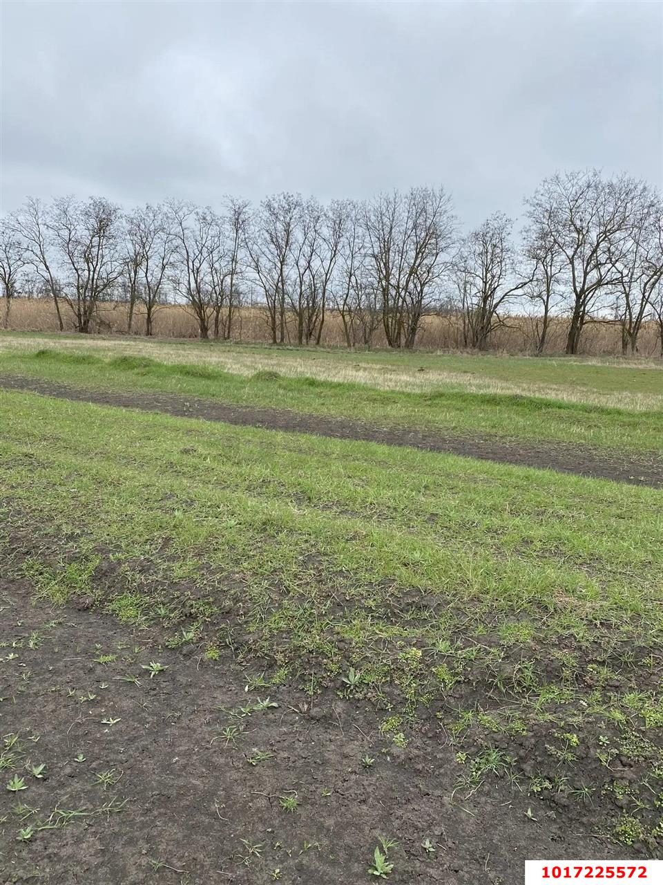 Фото №4: Земельный участок под ИЖС <span class="whitespace-nowrap">7.05 сот.</span> - Медведовская, пр-д 2-й Заречный