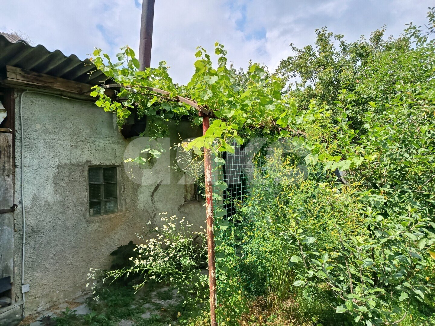 Фото №10: Дом <span class="whitespace-nowrap">50 м²</span> <span class="whitespace-nowrap">+ 9 сот.</span>, <span class="whitespace-nowrap">1 эт.</span> - Пшада, ул. Новороссийская, 47А