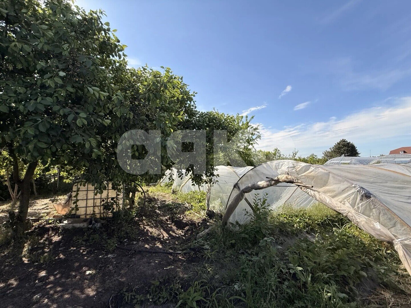 Фото №12: Личное подсобное хозяйство <span class="whitespace-nowrap">23.23 сот.</span> - Платнировская, ул. Карла Маркса, 120
