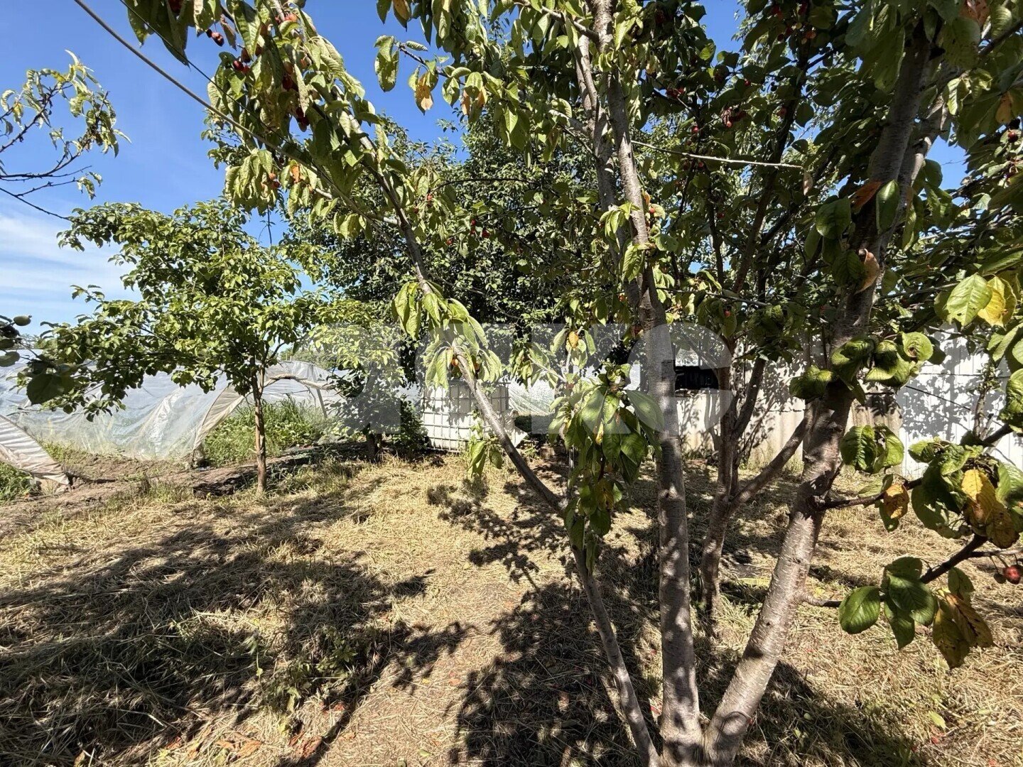 Фото №13: Личное подсобное хозяйство <span class="whitespace-nowrap">23.23 сот.</span> - Платнировская, ул. Карла Маркса, 120