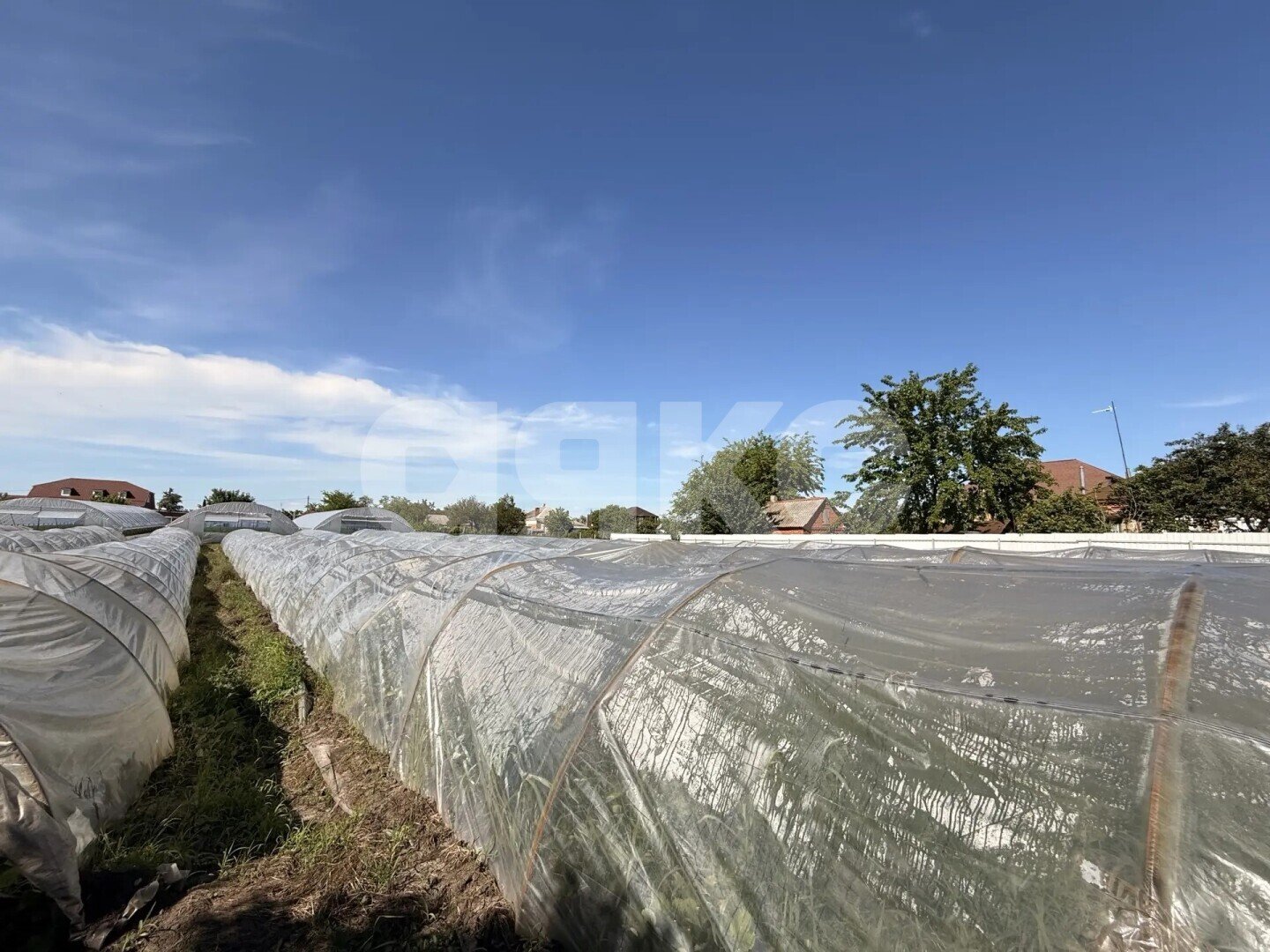 Фото №3: Личное подсобное хозяйство <span class="whitespace-nowrap">23.23 сот.</span> - Платнировская, ул. Карла Маркса, 120