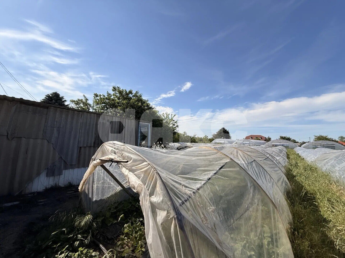 Фото №9: Личное подсобное хозяйство <span class="whitespace-nowrap">23.23 сот.</span> - Платнировская, ул. Карла Маркса, 120