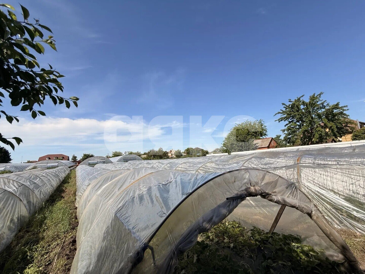 Фото №6: Личное подсобное хозяйство <span class="whitespace-nowrap">23.23 сот.</span> - Платнировская, ул. Карла Маркса, 120