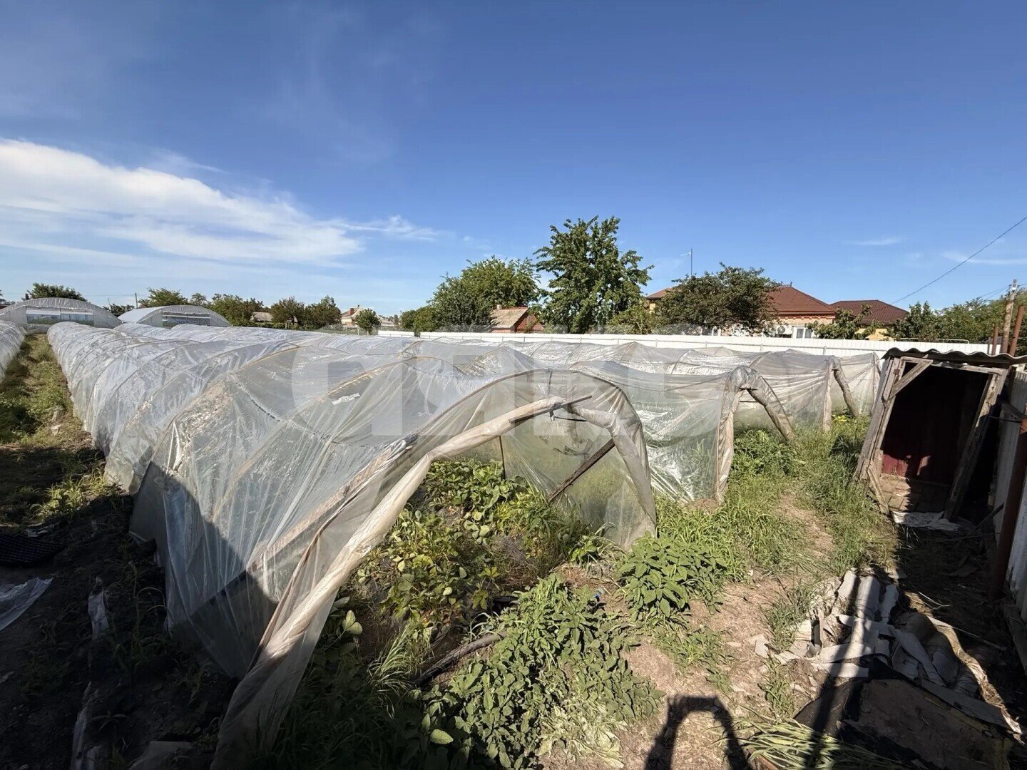 Фото №5: Личное подсобное хозяйство <span class="whitespace-nowrap">23.23 сот.</span> - Платнировская, ул. Карла Маркса, 120