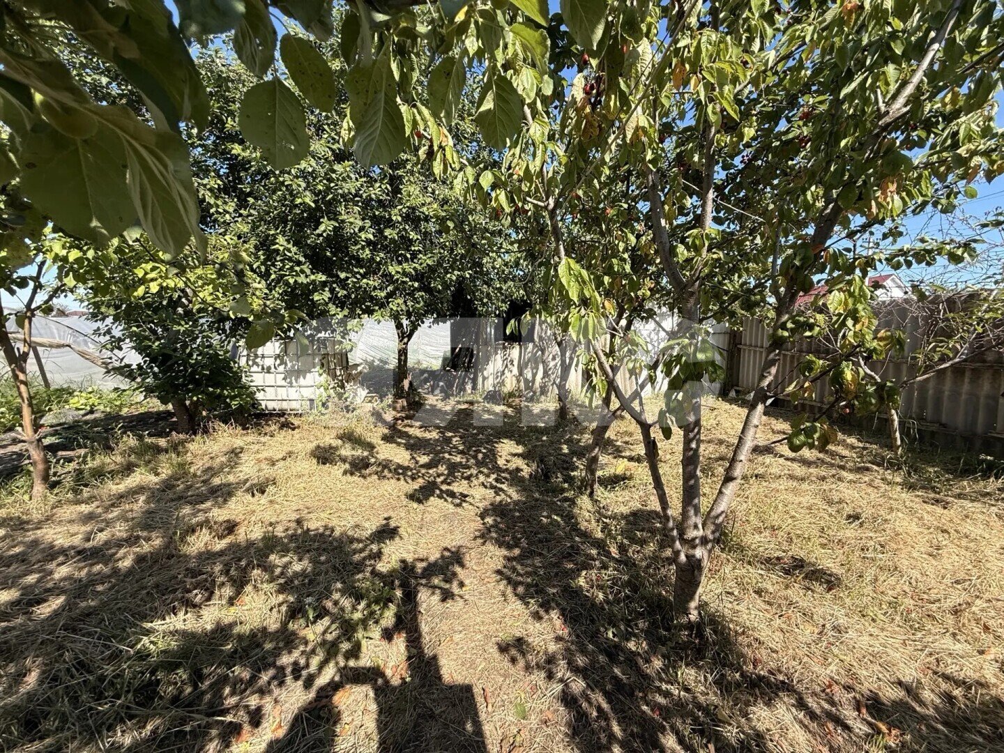 Фото №14: Личное подсобное хозяйство <span class="whitespace-nowrap">23.23 сот.</span> - Платнировская, ул. Карла Маркса, 120