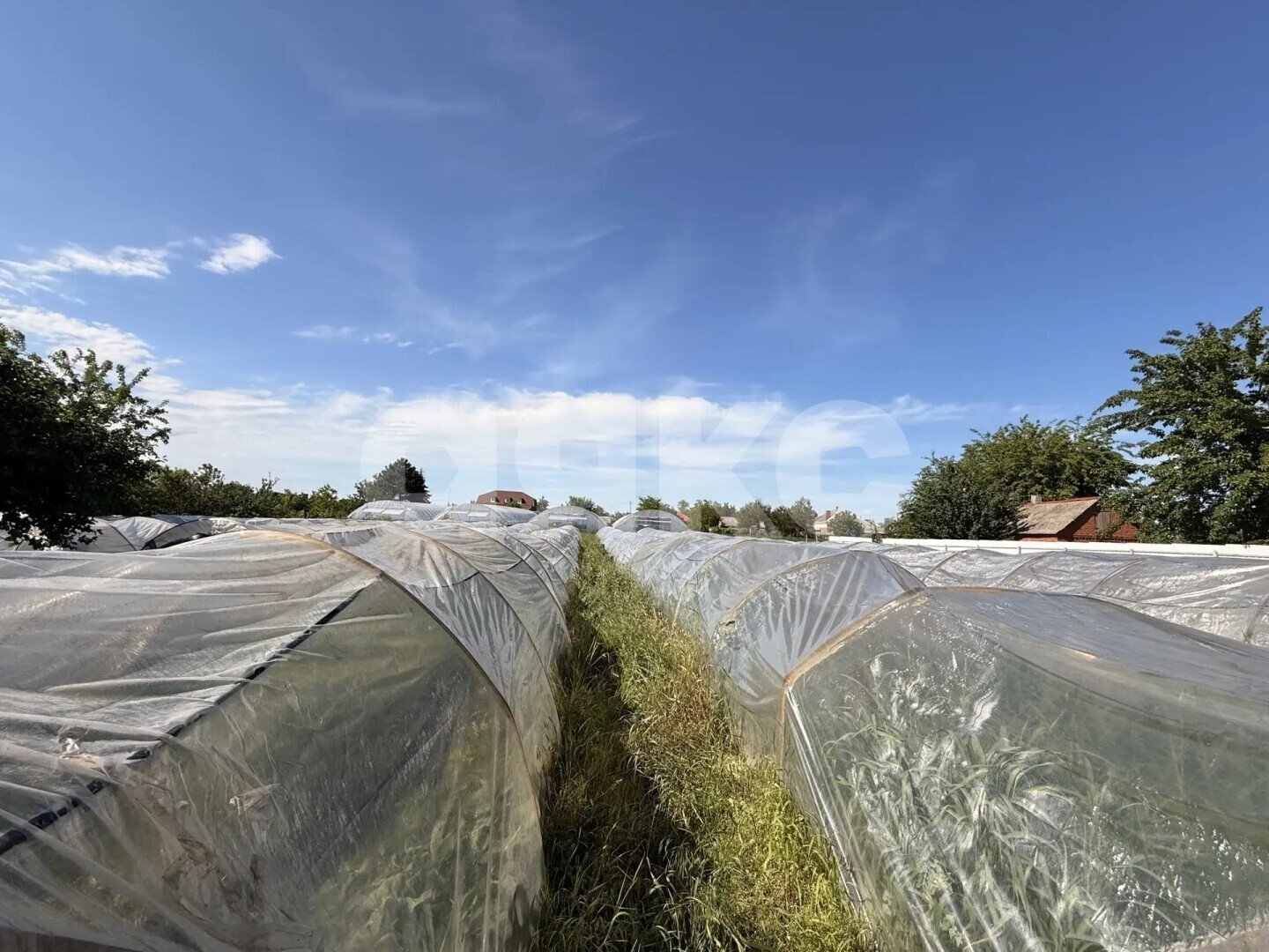 Фото №7: Личное подсобное хозяйство <span class="whitespace-nowrap">23.23 сот.</span> - Платнировская, ул. Карла Маркса, 120
