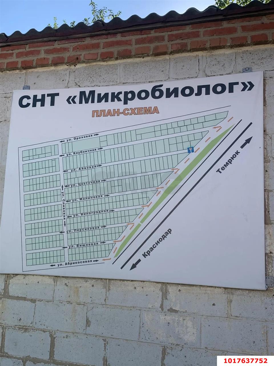 Фото №8: Личное подсобное хозяйство <span class="whitespace-nowrap">10.32 сот.</span> - СНТ Микробиолог, мкр. Прикубанский внутригородской округ, ул. Айвовая, 42