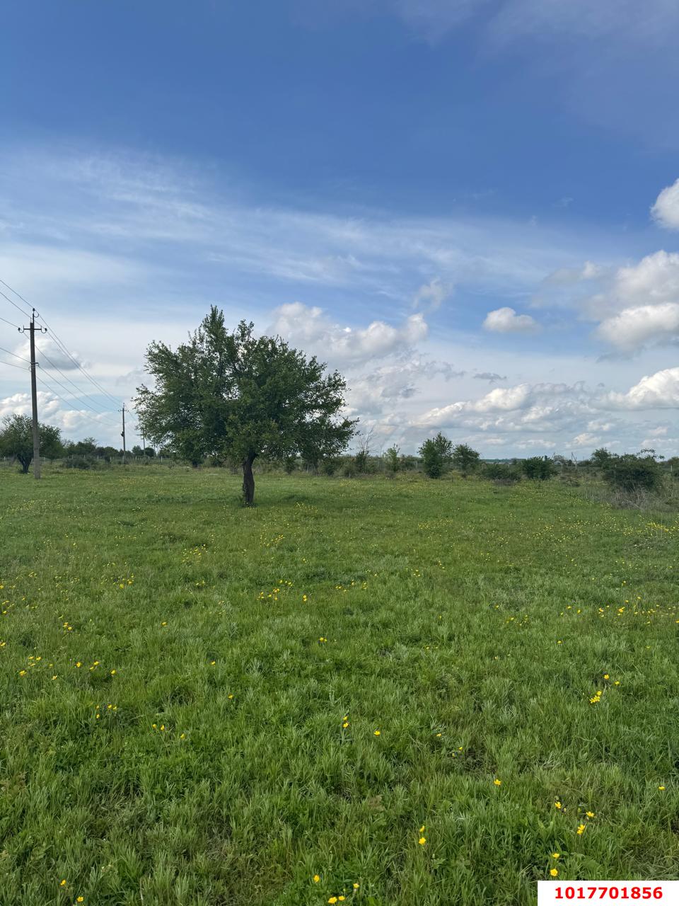Фото №7: Земельный участок под ИЖС <span class="whitespace-nowrap">6.47 сот.</span> - Афипсип, ул. Степная, 30