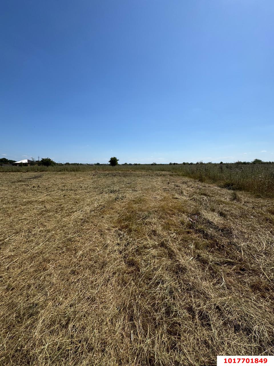 Фото №8: Земельный участок под ИЖС <span class="whitespace-nowrap">6.47 сот.</span> - Афипсип, ул. Степная, 2